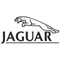 Jaguar Head gasket